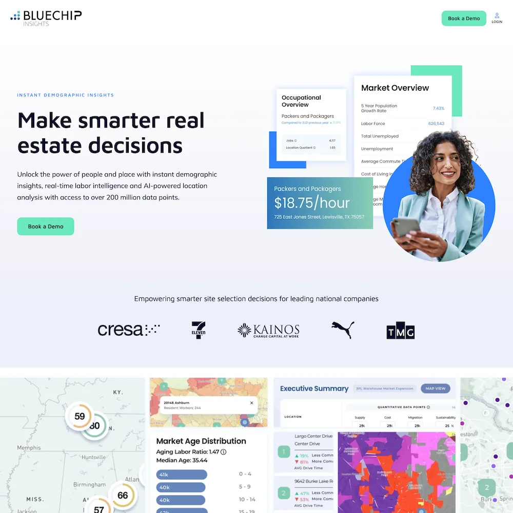 Bluechip Insights website designed by Xander Marketing